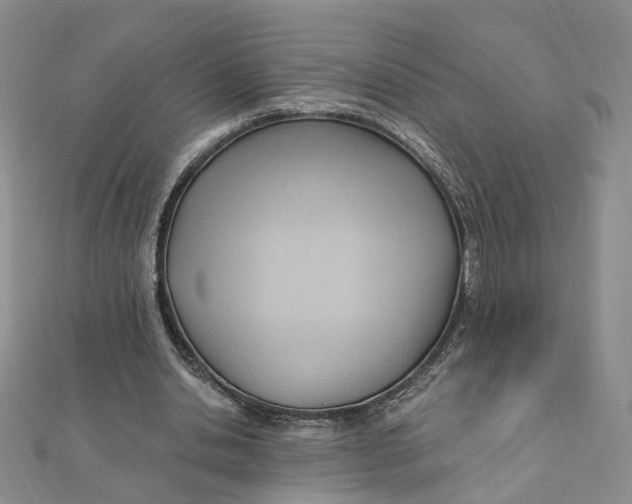 X0000112080438200908251108