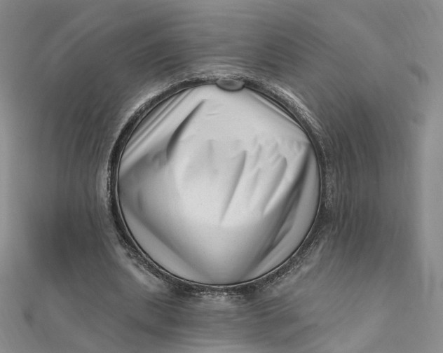 X0000112080439200908251108