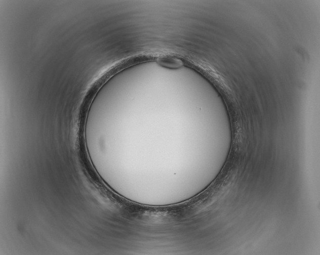 X0000112080440200908251108