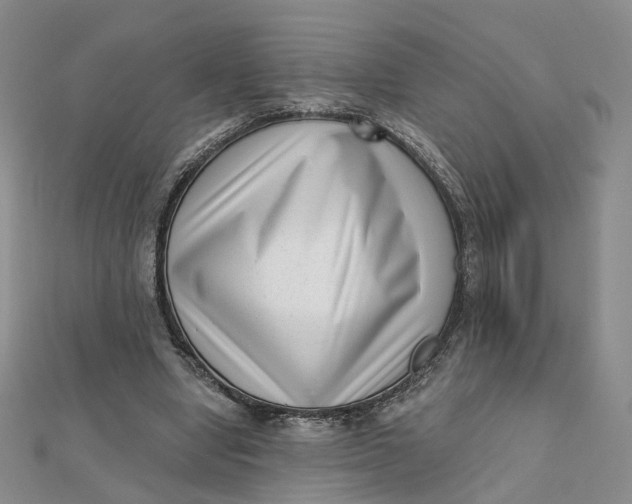 X0000112080442200908251108