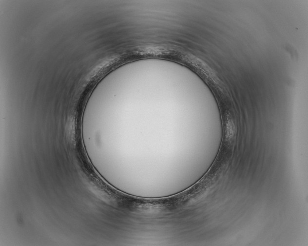 X0000112080444200908251108