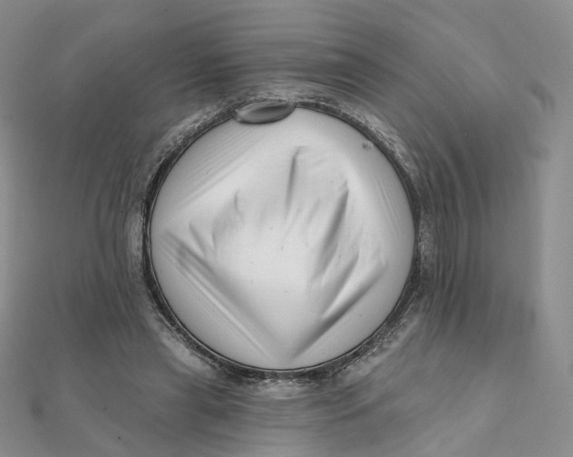 X0000112080445200908251108