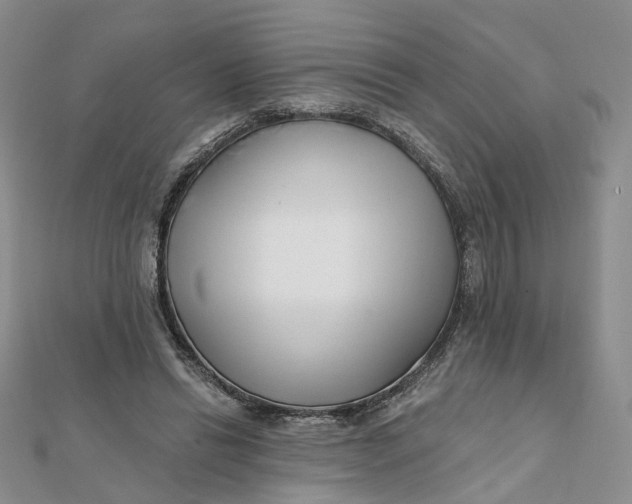 X0000112080446200908251108