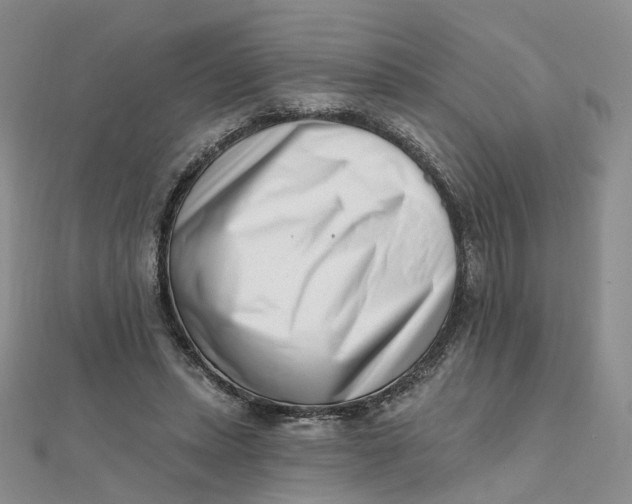 X0000112080447200908251108