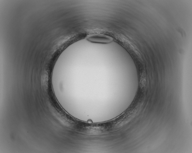 X0000112080448200908251108
