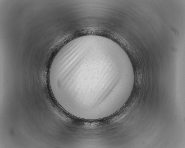 X0000112080450200908251108