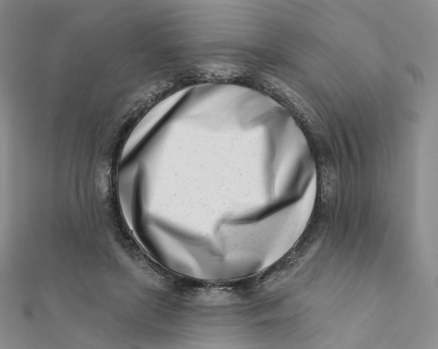 X0000112080451200908251108