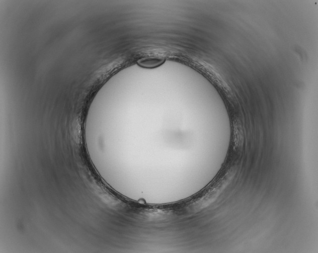 X0000112080453200908251108