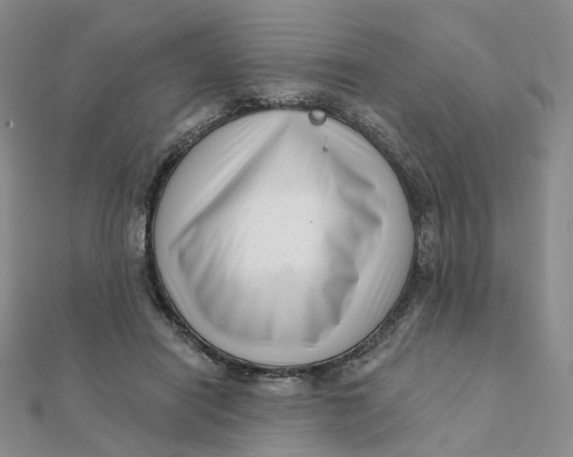 X0000112080454200908251108
