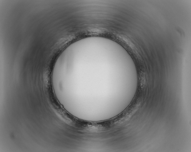 X0000112080455200908251108