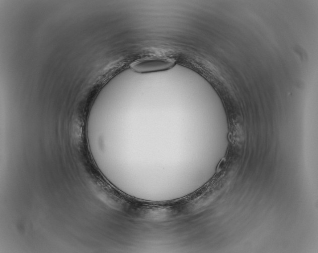 X0000112080456200908251108