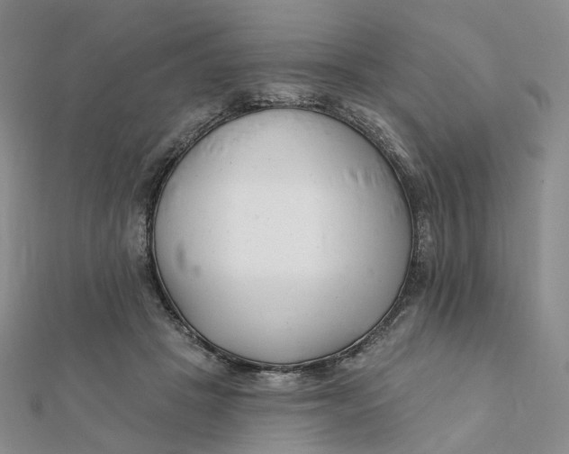 X0000112080457200908251108