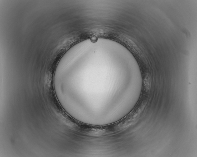 X0000112080458200908251108