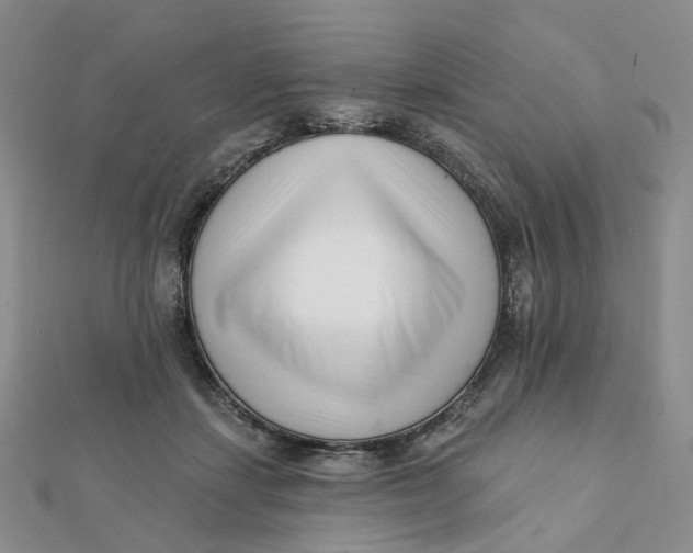 X0000112080459200908251108