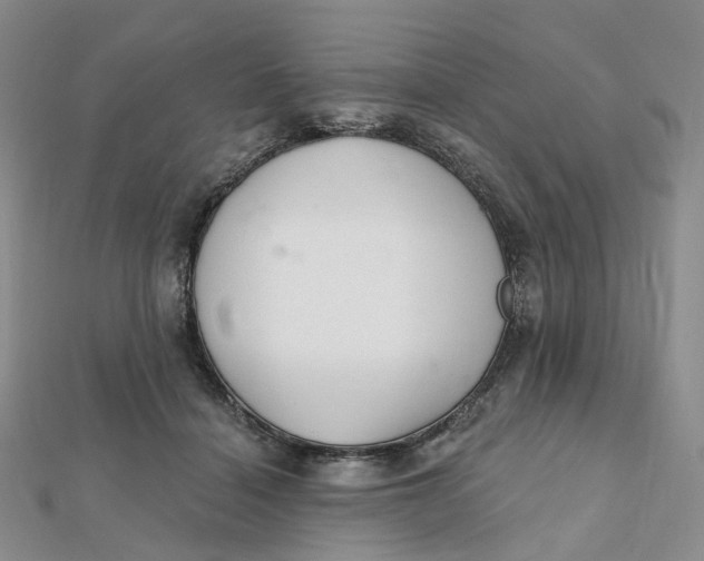 X0000112080460200908251108