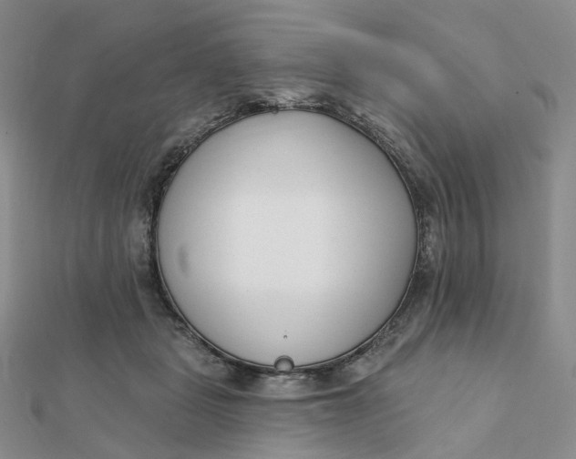 X0000112080461200908251108