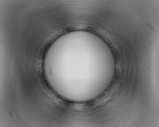 X0000112080462200908251108