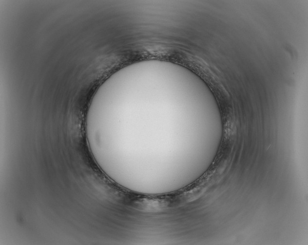 X0000112080464200908251108