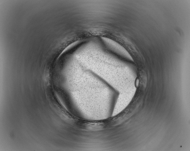 X0000112080465200908251109