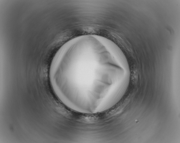 X0000112080466200908251109