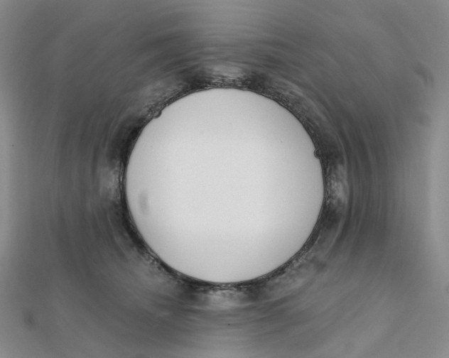 X0000112080468200908251109