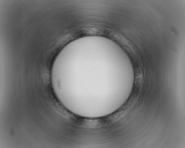 X0000112080469200908251109