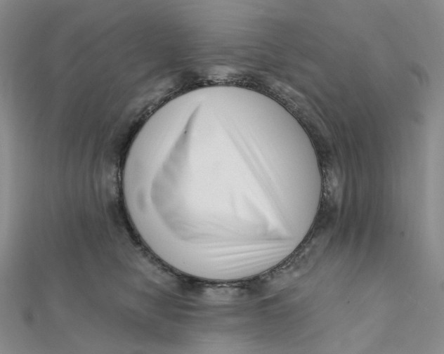X0000112080470200908251109