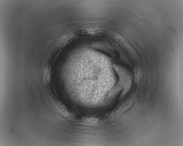 X0000112080471200908251109