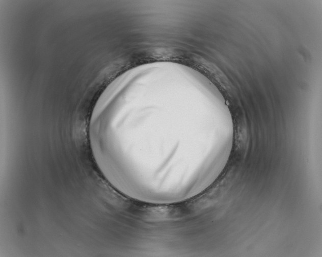 X0000112080473200908251109