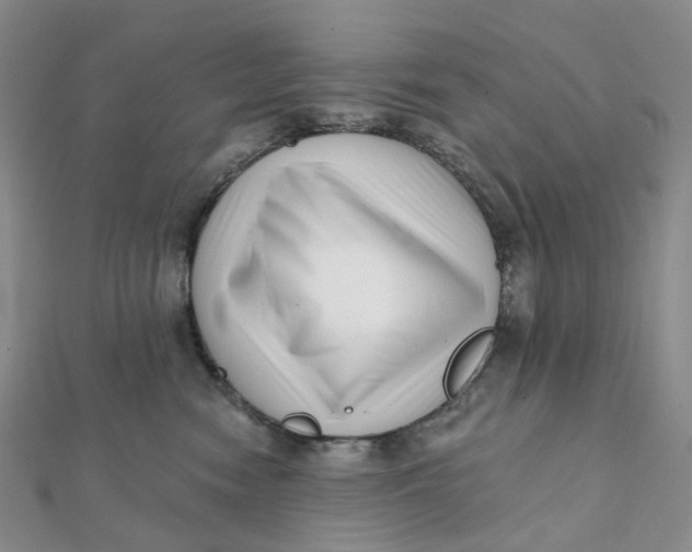 X0000112080474200908251109