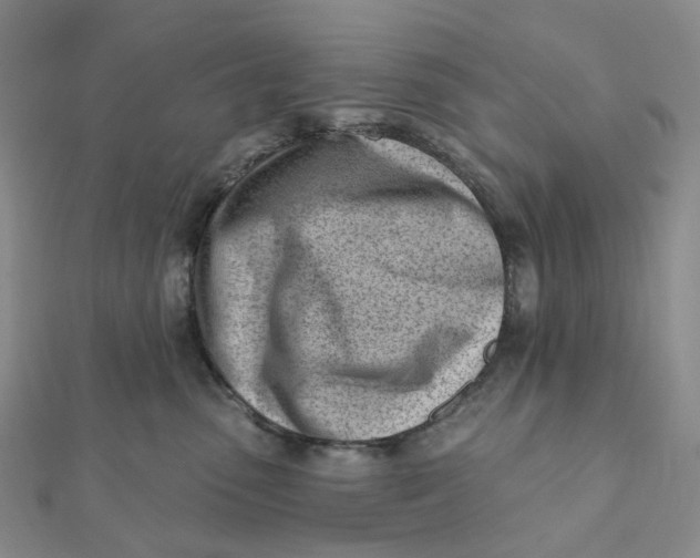 X0000112080475200908251109