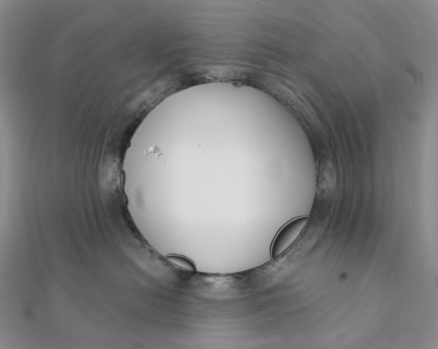 X0000112080478200908251109