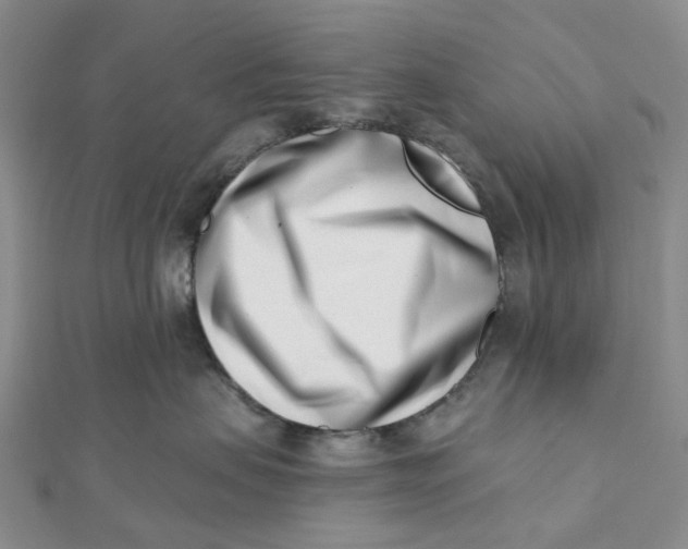 X0000112080479200908251109