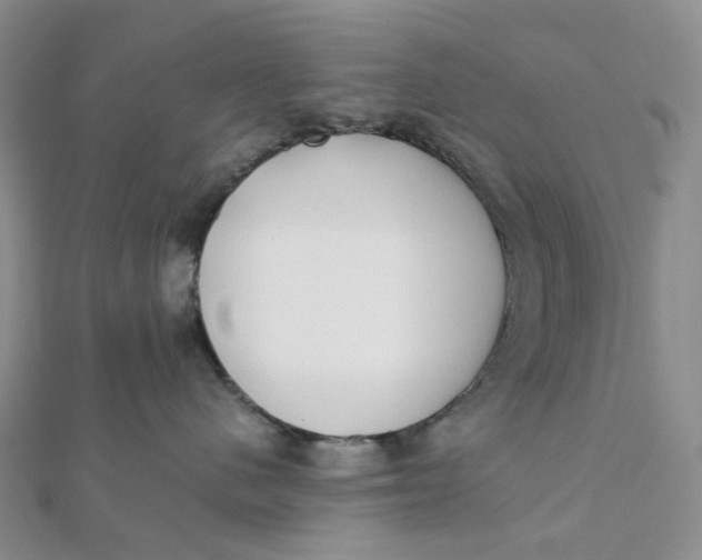 X0000112080480200908251109