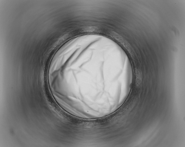 X0000112080482200908251108