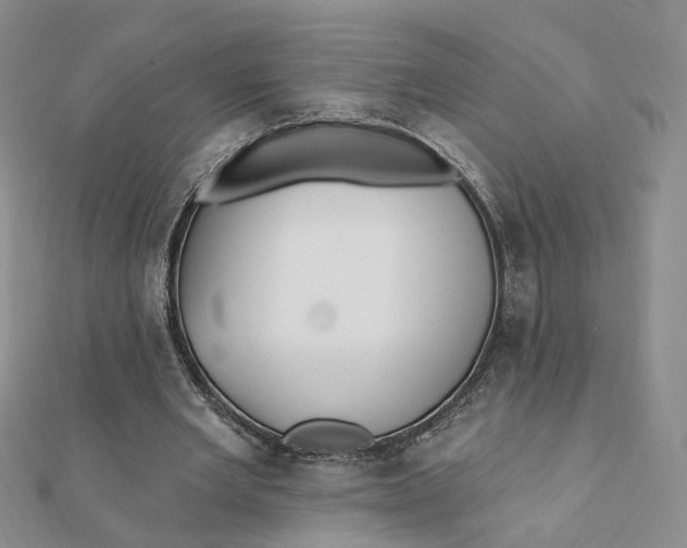 X0000112080485200908251108