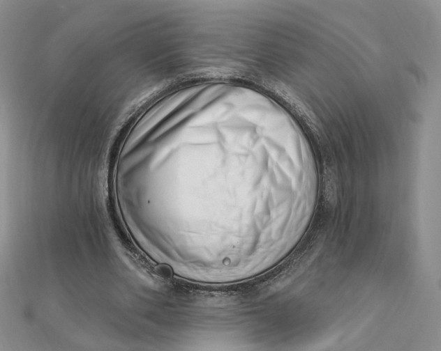 X0000112080486200908251108