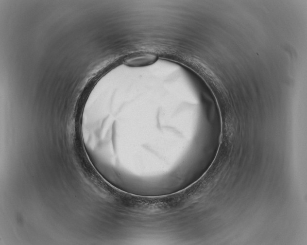 X0000112080488200908251108