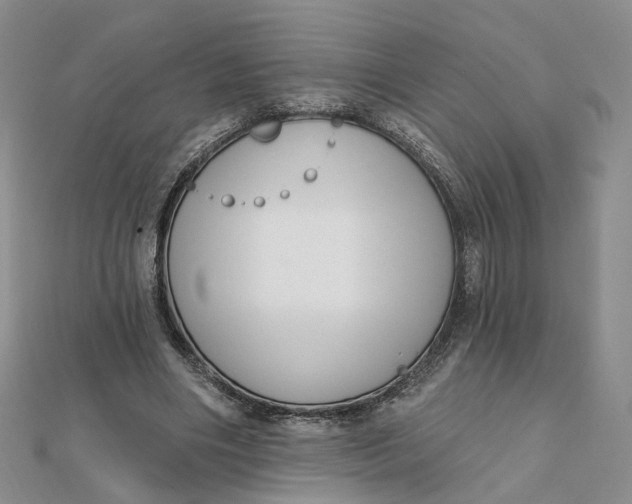 X0000112080490200908251108