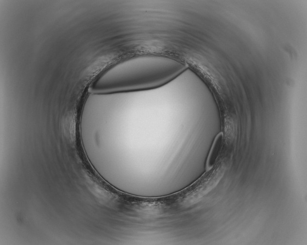 X0000112080493200908251108