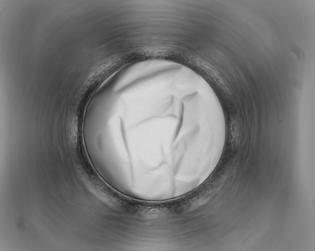 X0000112080494200908251108