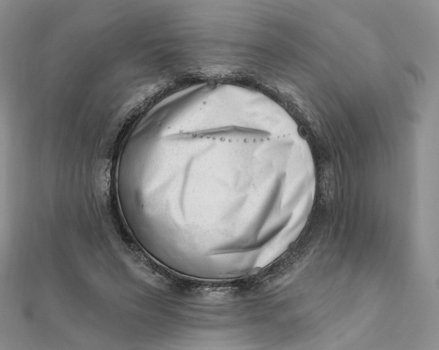 X0000112080495200908251108