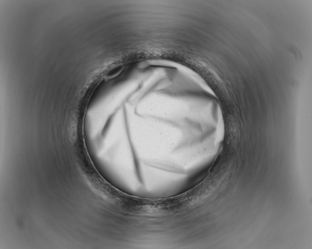 X0000112080496200908251108