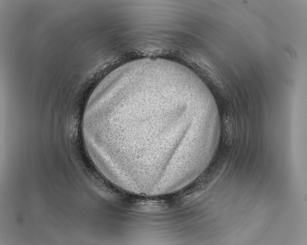 X0000112080499200908251108