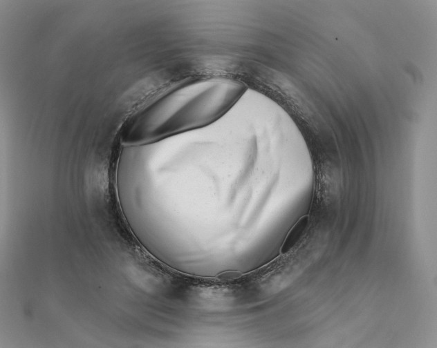 X0000112080500200908251108