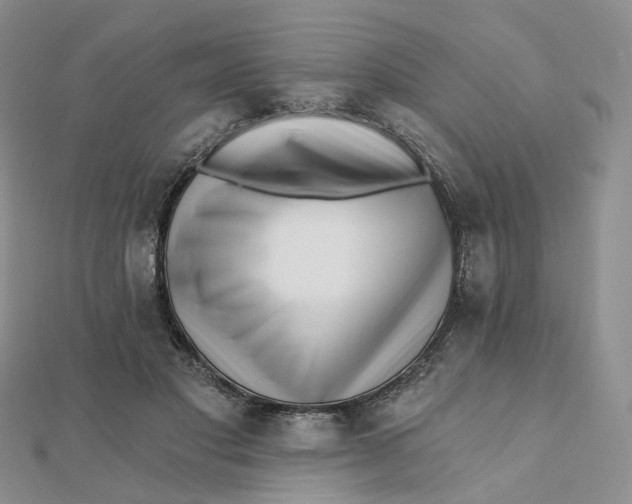 X0000112080501200908251108