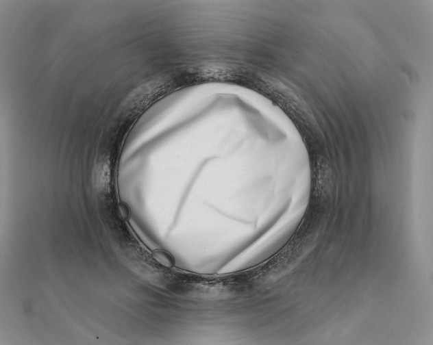 X0000112080502200908251108