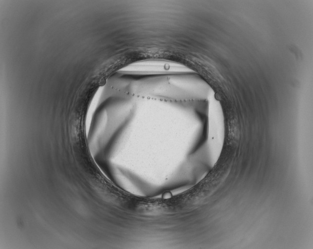 X0000112080503200908251107