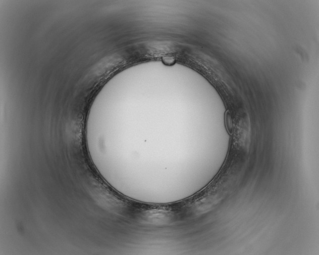 X0000112080505200908251107