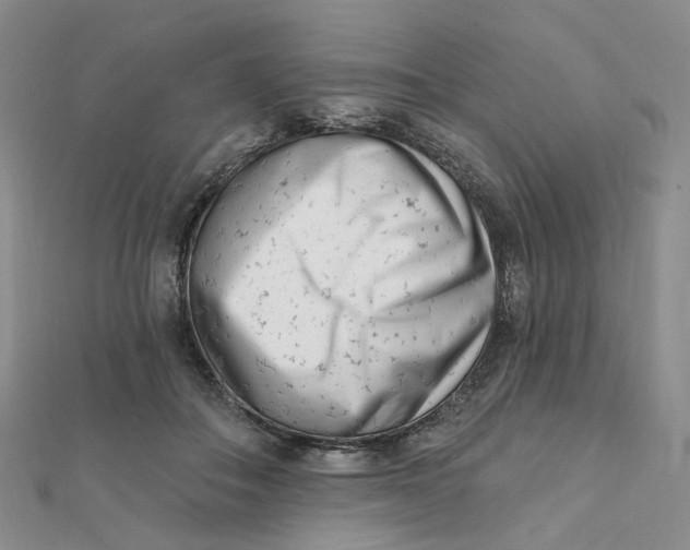 X0000112080506200908251107